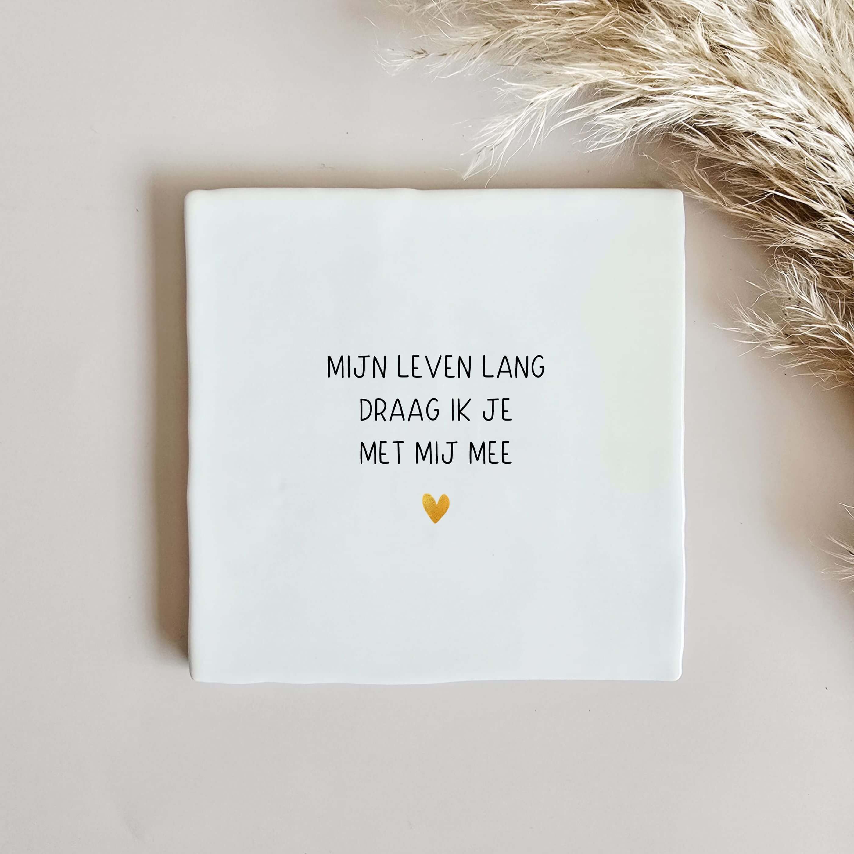 Tegeltje overlijden mijn leven lang draag ik je met mij mee